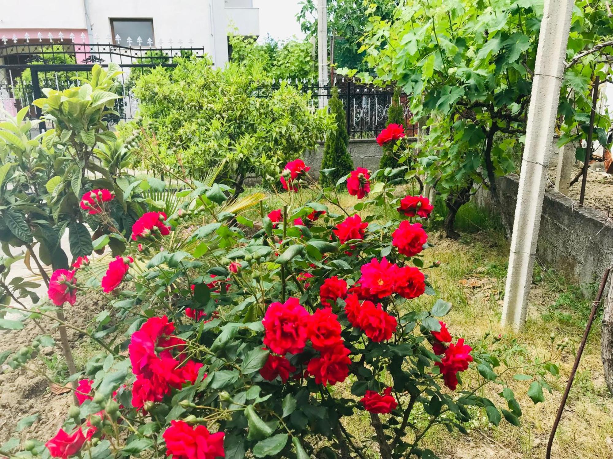 Villa Ajla Durrës Kültér fotó